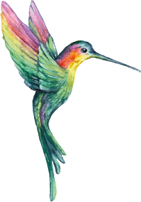 Alquiler de sala para eventos en Burgos 1 Colibri jaleo